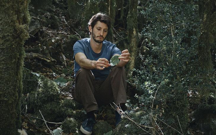 Кадр и фильма «Книга решений», грустный мужчина сидит на камне в лесу и смотрит на зеленый листок, который держит в руках