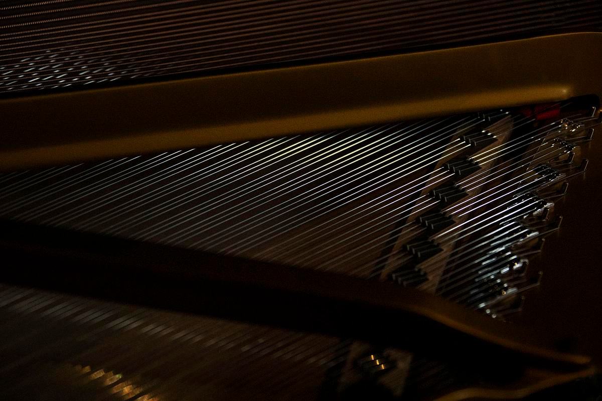 Титульное изображение для страницы события: фотография внутреннего устройства рояля крупным планом
