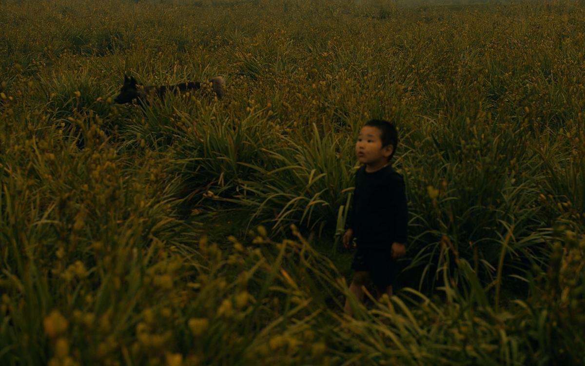 Титульное изображение для страницы события: кадр из фильма «Рай», ребенок стоит в поле