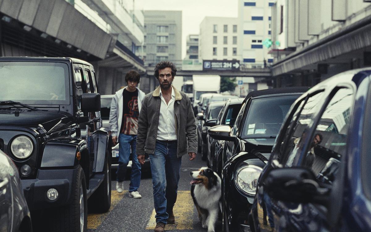 Титульное изображение для страницы события: кадр из фильма «Королевство зверей», мужчина с собакой идет по центру дороги вдоль рядов машин 