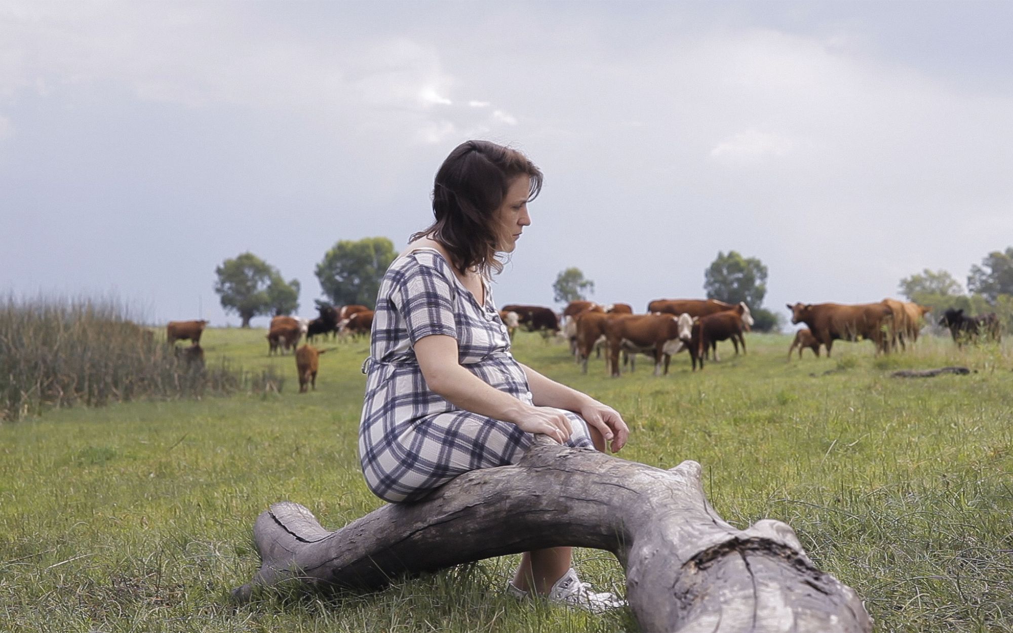Беременная женщина сидит на коряге на фоне стада коров