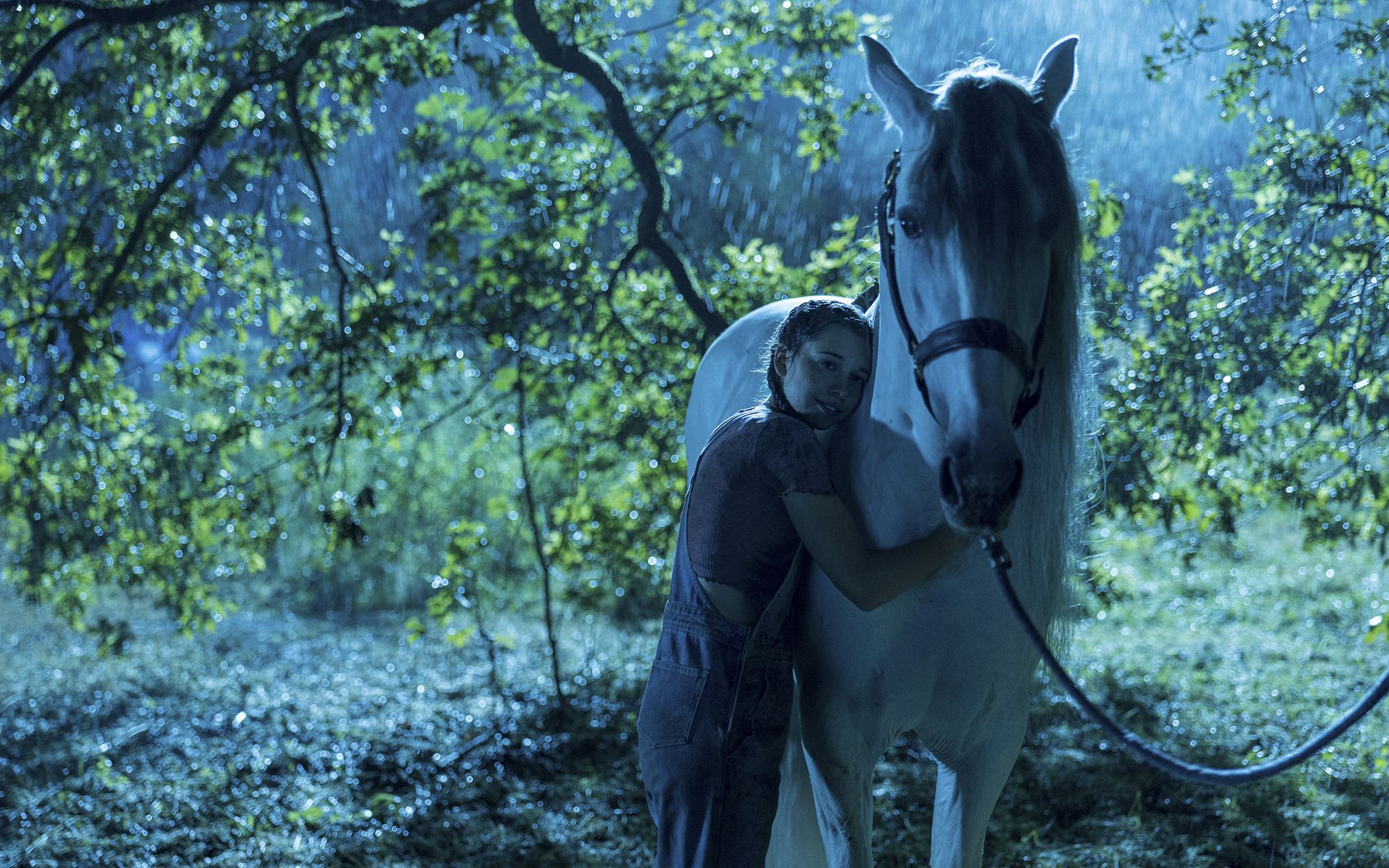 Девочка обнимает белую лошадь в лесу